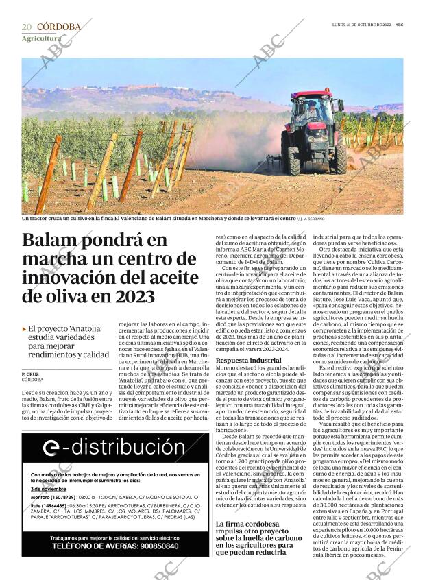 ABC CORDOBA 31-10-2022 página 20