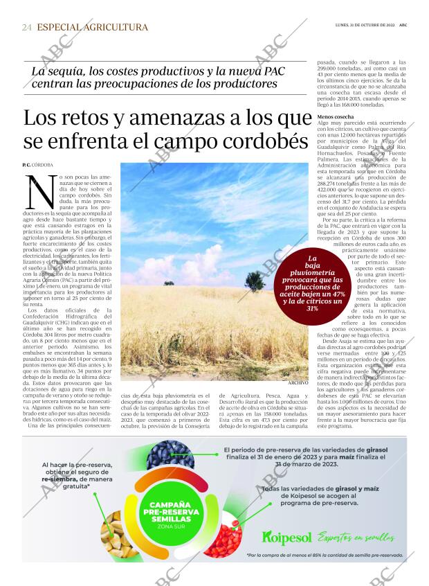 ABC CORDOBA 31-10-2022 página 24