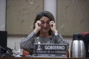 Comisión en el Congreso por parte de la ministra de Transición Ecológica y Reto...