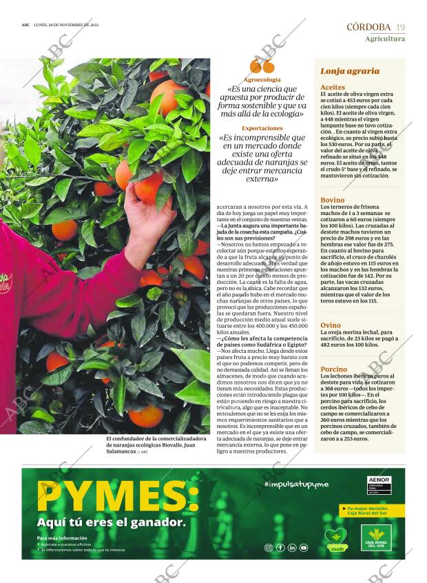 ABC CORDOBA 28-11-2022 página 19