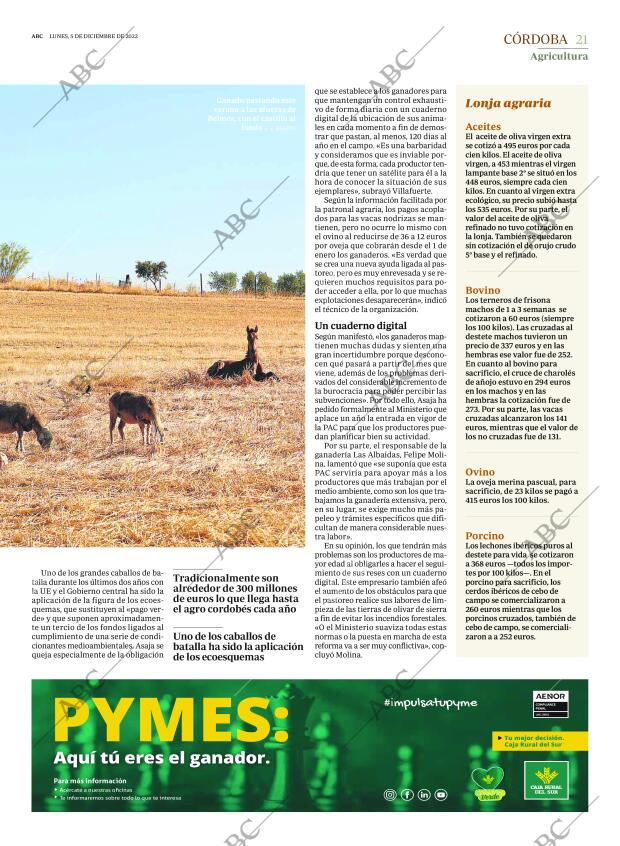 ABC CORDOBA 05-12-2022 página 21