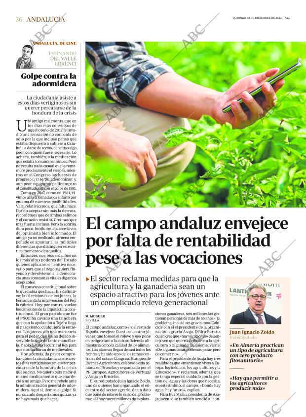 ABC CORDOBA 18-12-2022 página 36