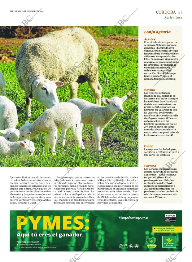 ABC CORDOBA 19-12-2022 página 21