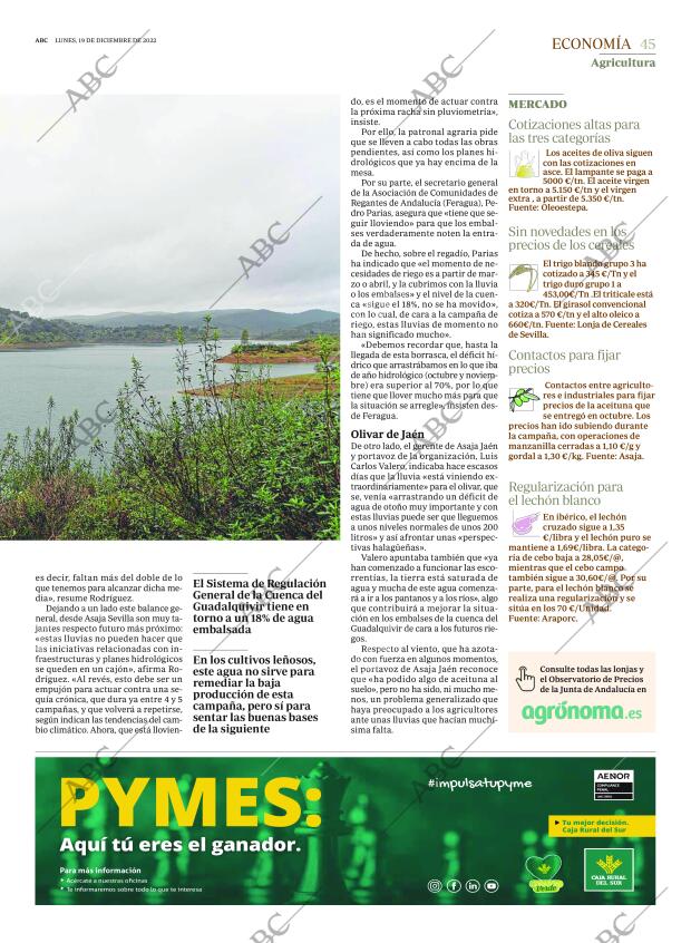 ABC SEVILLA 19-12-2022 página 45