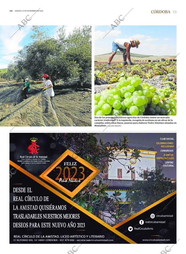 ABC CORDOBA 31-12-2022 página 19
