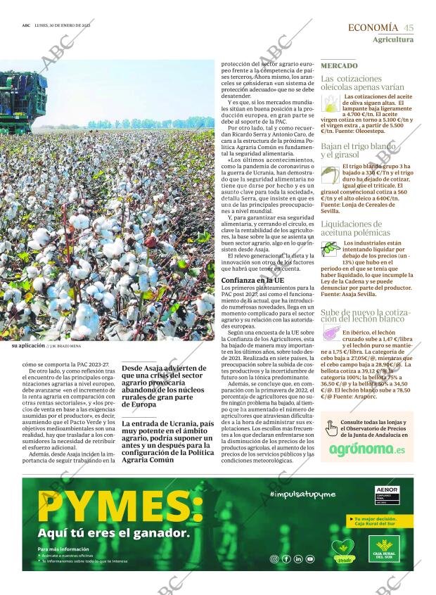 ABC SEVILLA 30-01-2023 página 45
