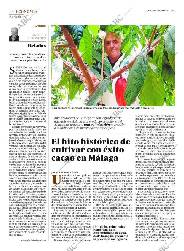 ABC SEVILLA 30-01-2023 página 48