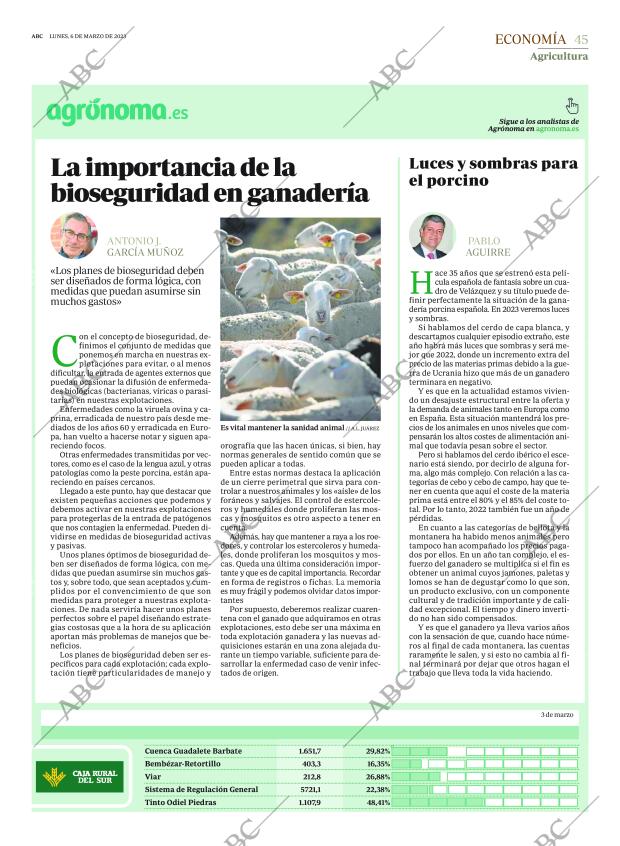 ABC SEVILLA 06-03-2023 página 45