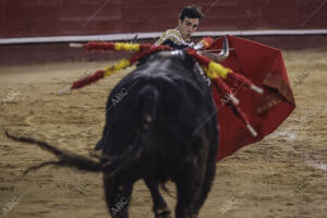 Tomas rufo en su segundo Toro