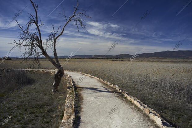 Parque Nacional de las Tablas de Daimiel