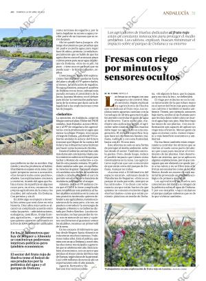 ABC SEVILLA 16-04-2023 página 31