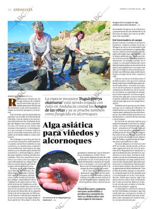 ABC SEVILLA 16-04-2023 página 36