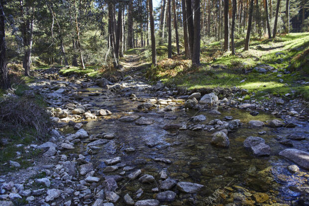 El Espinar (Segovia), 17/04/2023. Sierra de Guadarrama. Dehesa y garganta del...