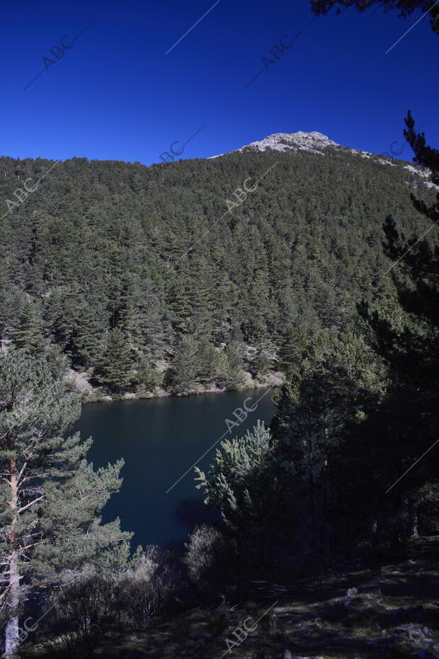 El Espinar (Segovia), 17/04/2023. Sierra de Guadarrama. Dehesa y garganta del...