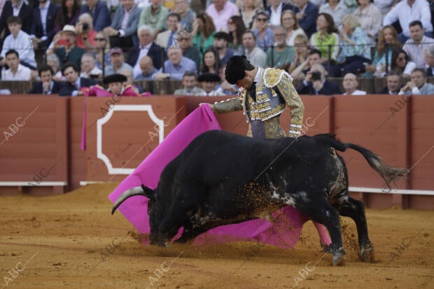 Seis toros de Santiago Domecq