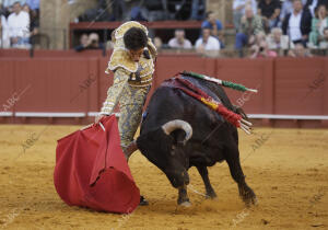 Seis toros de Santiago Domecq