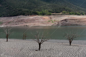 En el pantano de Sau, el nivel del agua es tan bajo que los embarcaderos están...