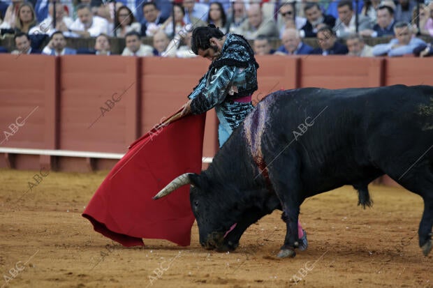 Corrida de toros celebrada en La Maestranza, para los toreros Morante de la...