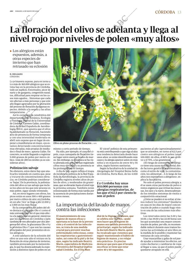 ABC CORDOBA 06-05-2023 página 13