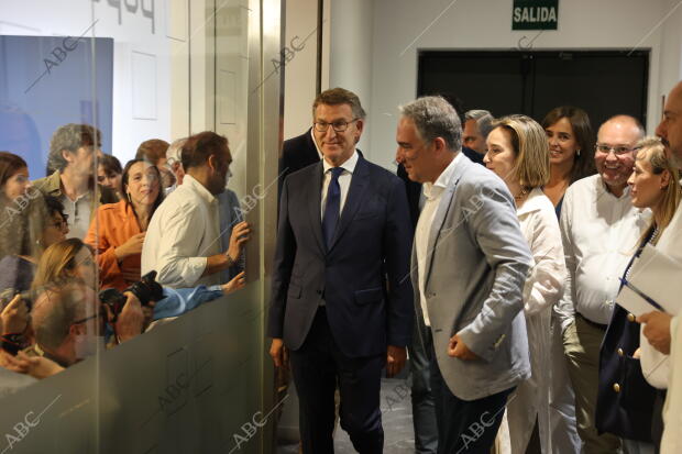 Sede del Pp. declaración institucional del líder del Pp Alberto Núñez Feijóo