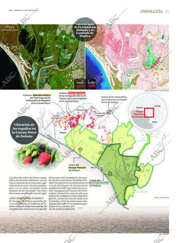 ABC CORDOBA 11-06-2023 página 29