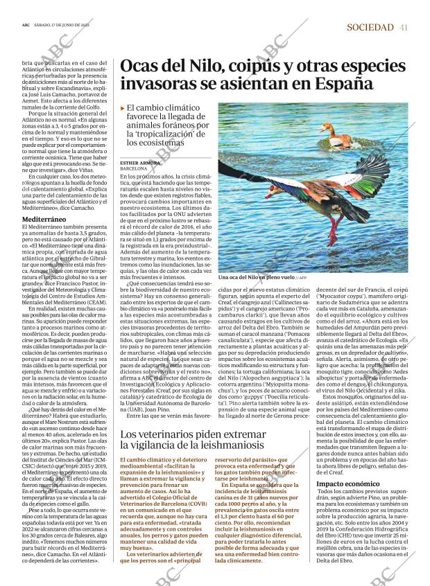 ABC MADRID 17-06-2023 página 41