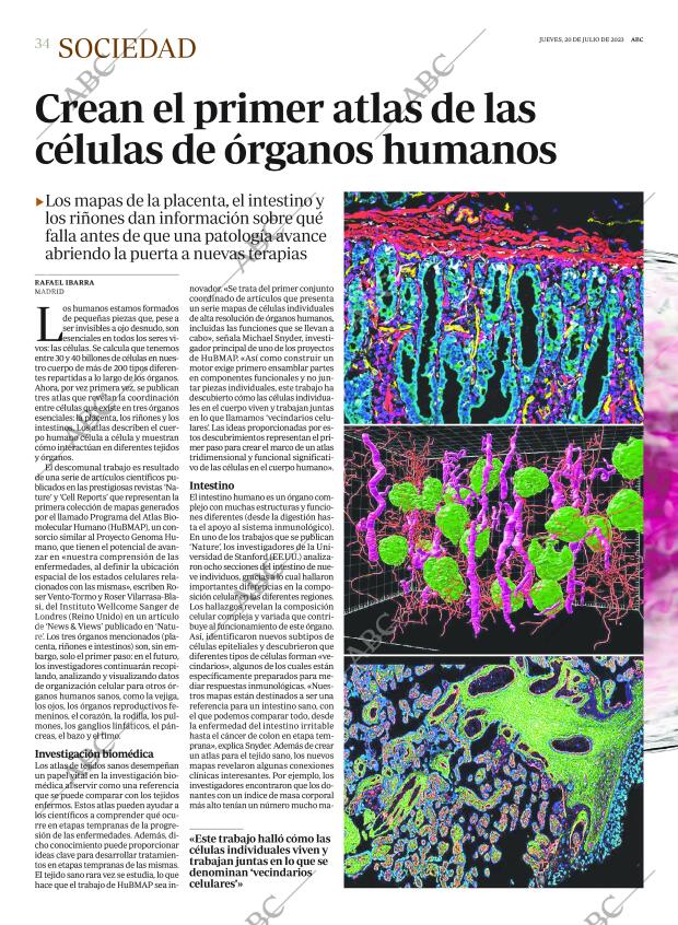 ABC MADRID 20-07-2023 página 34