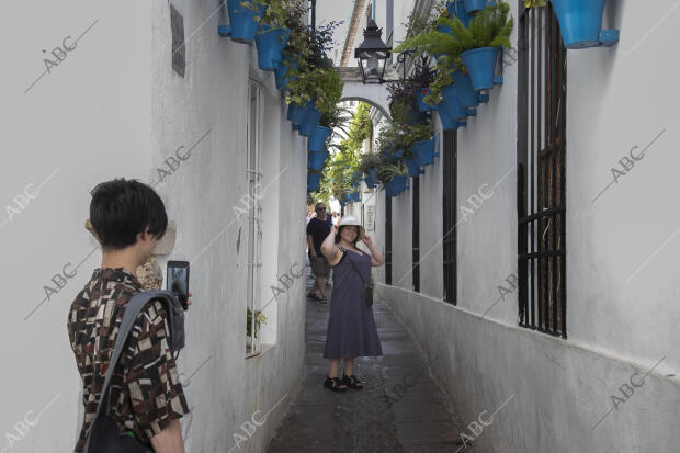 Turistas en Agosto