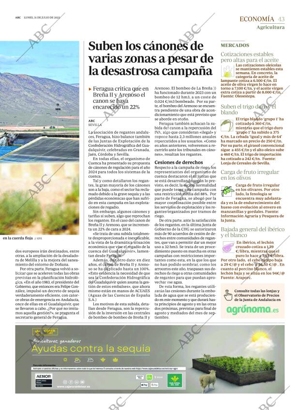 ABC SEVILLA 31-07-2023 página 43