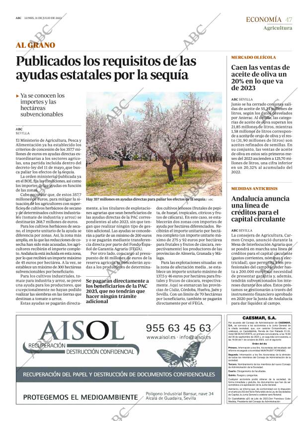 ABC SEVILLA 31-07-2023 página 47