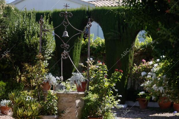 Reportaje de patios por el adelanto de su celebración