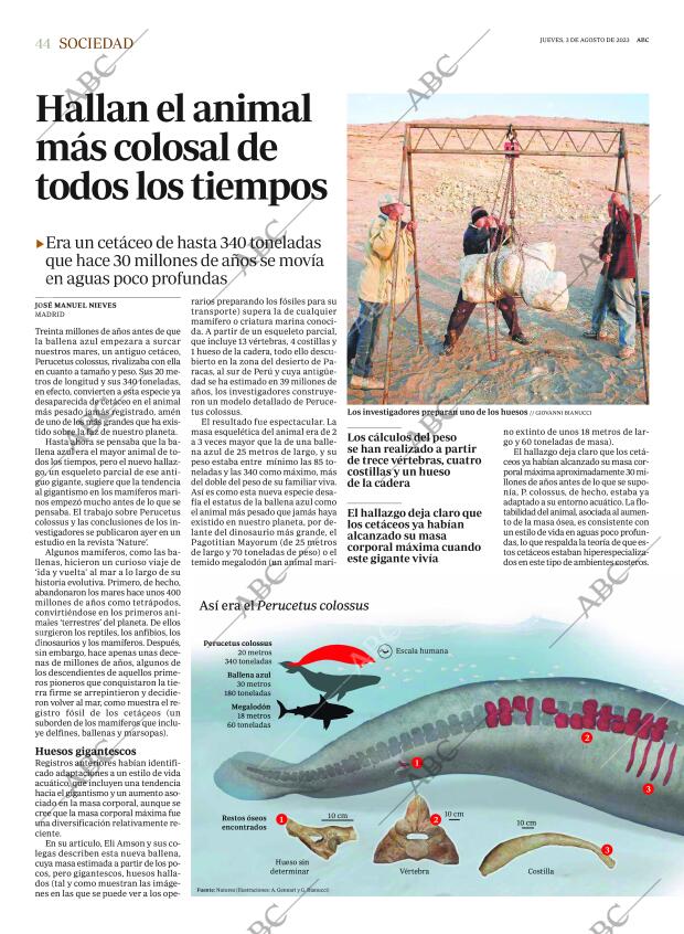 ABC SEVILLA 03-08-2023 página 44