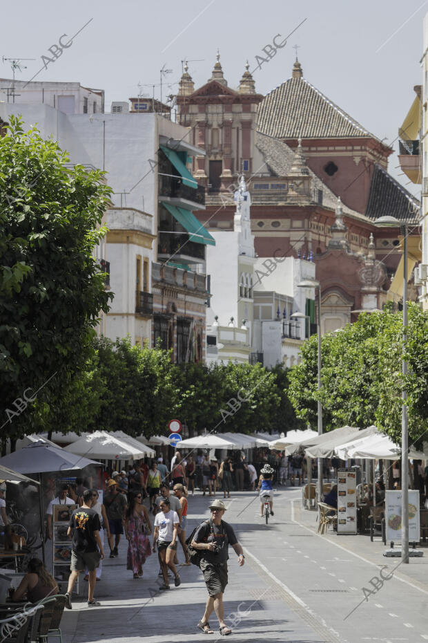 Reportaje 24 Horas. Ola de Calor, calle san Jacinto