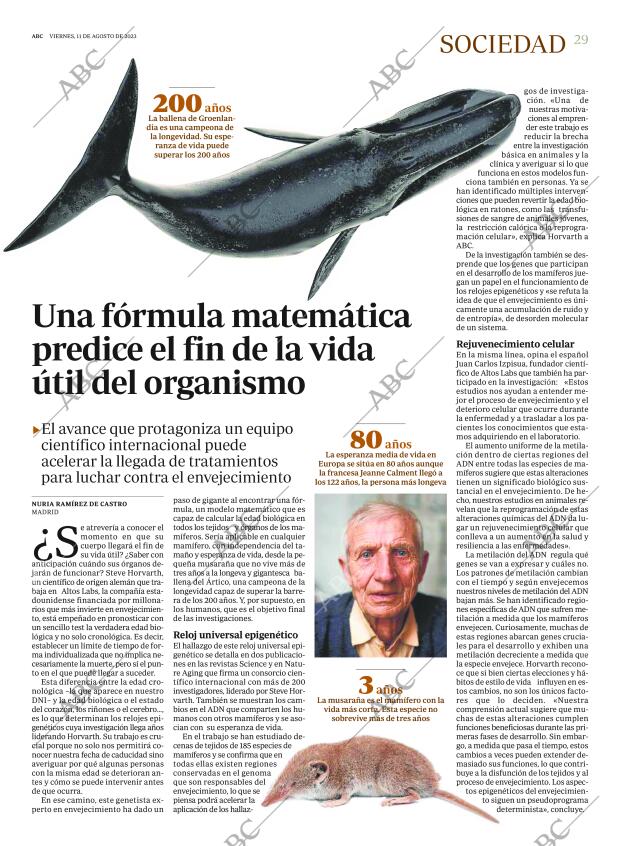 ABC MADRID 11-08-2023 página 29