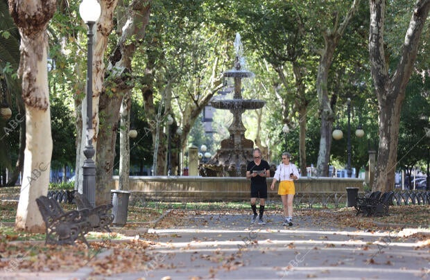 El parque de colón con aspecto otoñal en Agosto