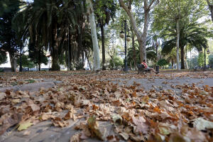 El parque de colón con aspecto otoñal en Agosto