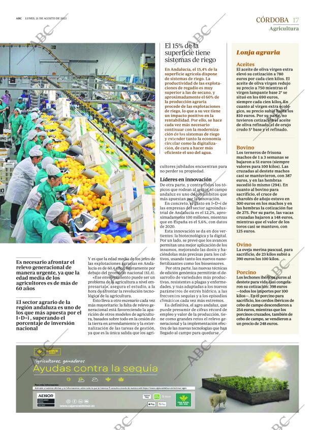 ABC CORDOBA 21-08-2023 página 17
