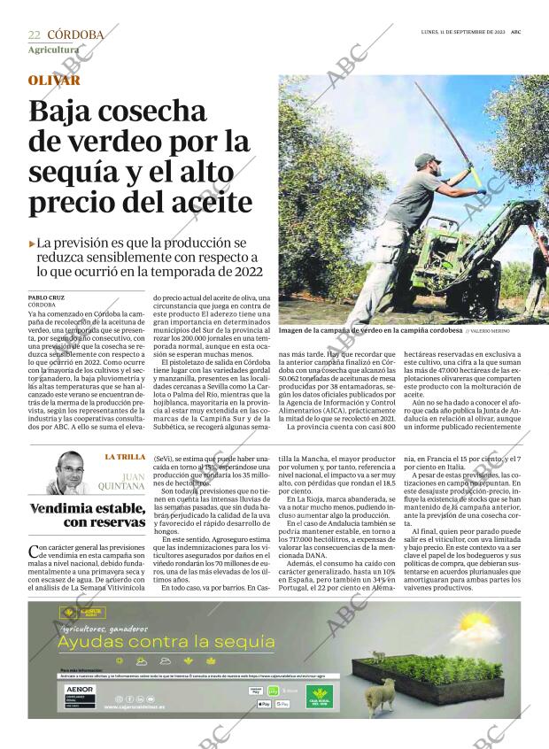 ABC CORDOBA 11-09-2023 página 22
