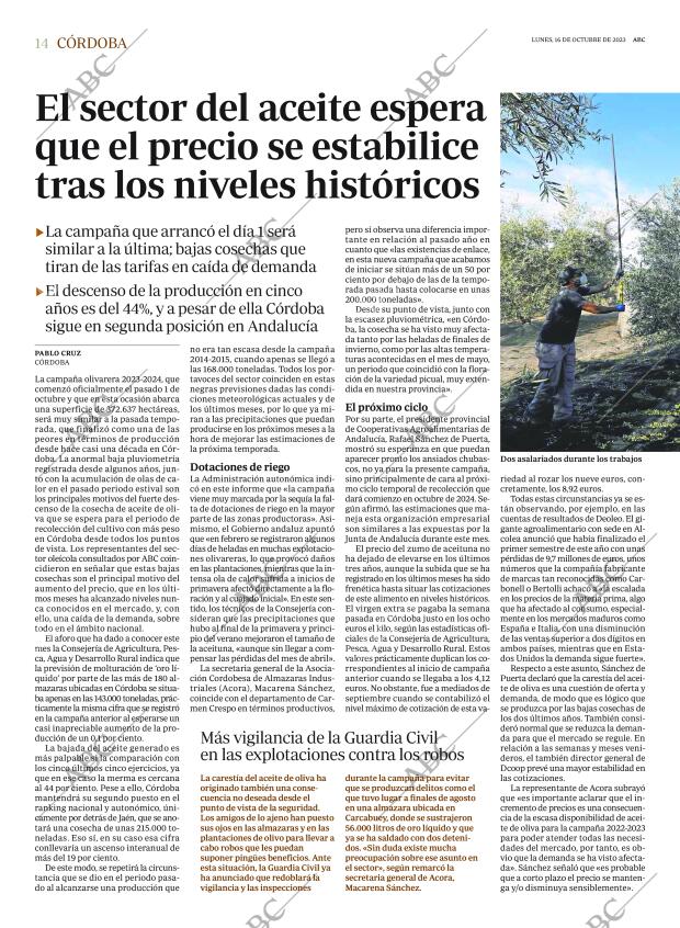 ABC CORDOBA 16-10-2023 página 14
