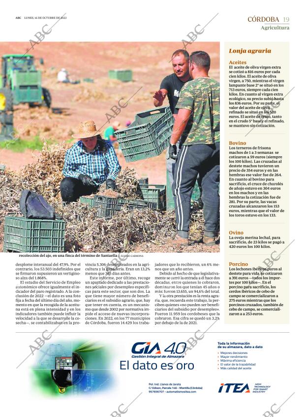 ABC CORDOBA 16-10-2023 página 19