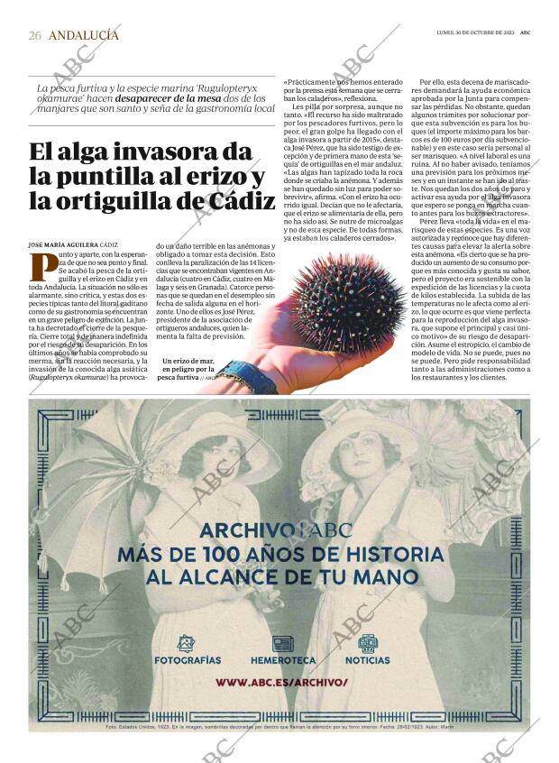 ABC CORDOBA 30-10-2023 página 26