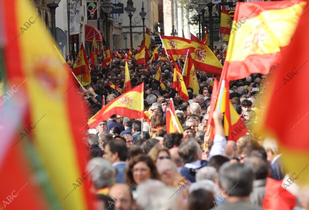 Manifestación organizada por el PP contra la amnistía de Pedro Sánchez en la...