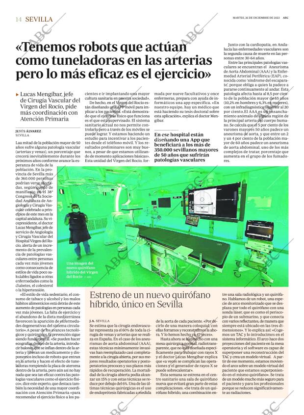 ABC SEVILLA 26-12-2023 página 14