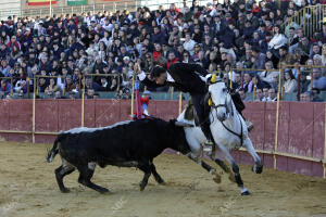 Novillada celebrada en la plaza de toros portátil de La Puebla del Río para el...