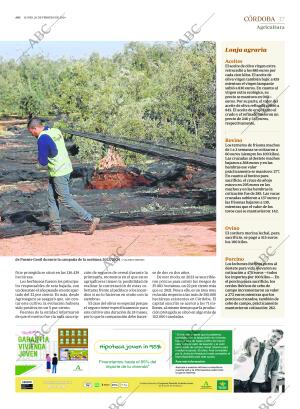 ABC CORDOBA 26-02-2024 página 17