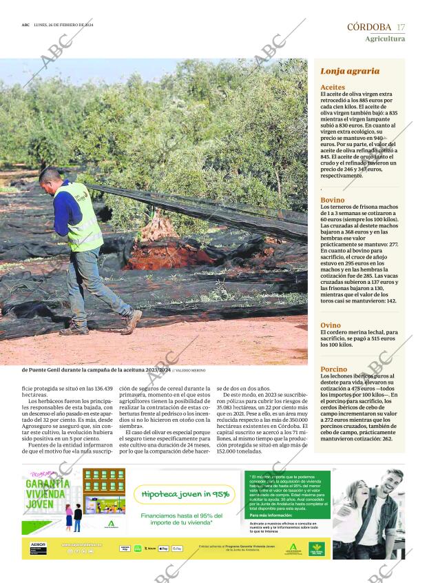 ABC CORDOBA 26-02-2024 página 17