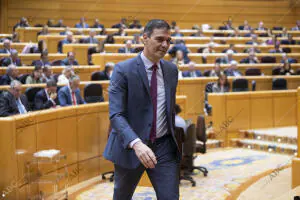 El presidente Pedro Sánchez asiste al Senado a la sesión de control al Gobierno