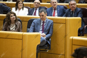 El presidente Pedro Sánchez asiste al Senado a la sesión de control al Gobierno
