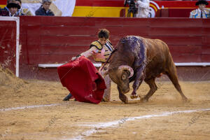 Roca Rey en la Feria de Fallas