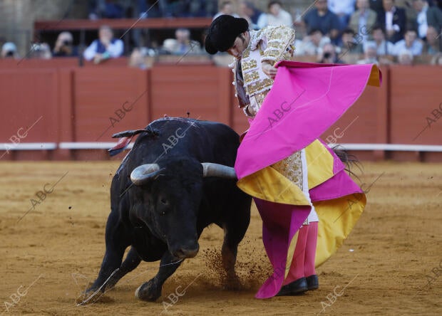 Toros de Santiago Domecq para los toreros José Garrido, David de Miranda y Leo...